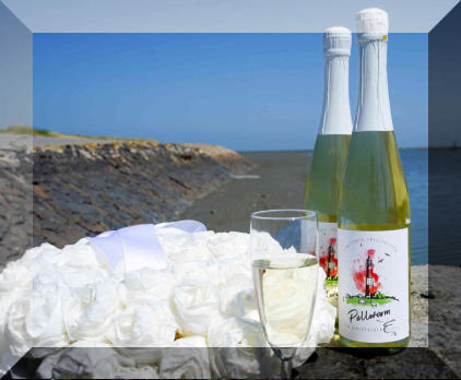 Party mit DJ Tiwi in Pellworm